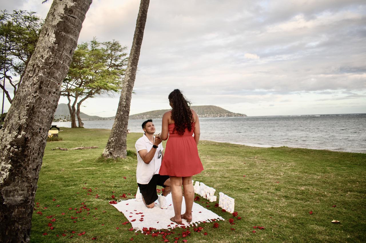 Romantic Proposal Picnic