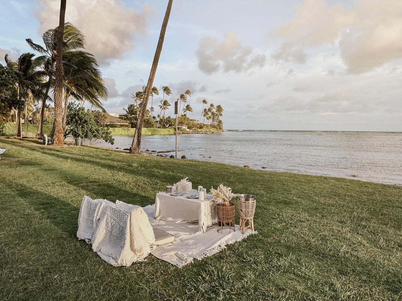 Home Annie Hawaii Picnic